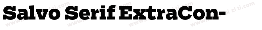 Salvo Serif ExtraCon字体转换